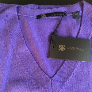 Raffi Shaya Merino Wool v-Neck Sweater
